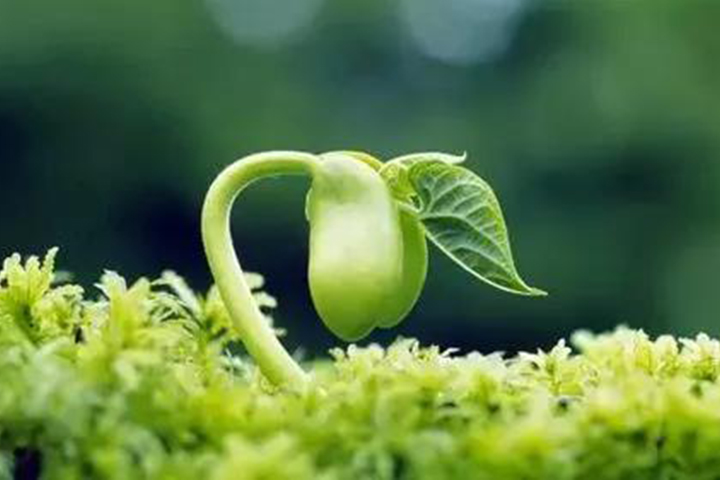 1-2101220Z452420.jpg 1-2101220Z452420.jpg