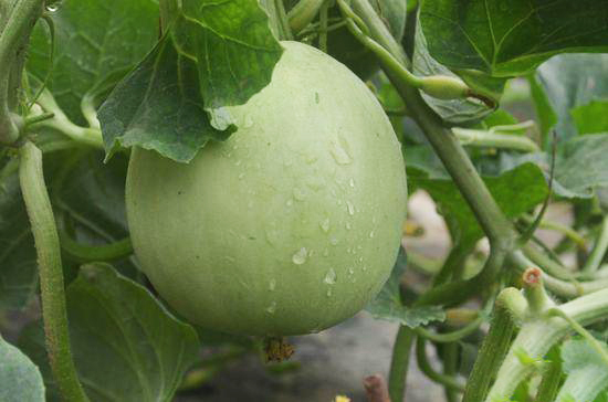 1-210122092313551.jpg 1-210122092313551.jpg