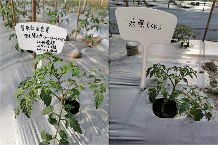 1-2101220942193P.jpg 1-2101220942193P.jpg