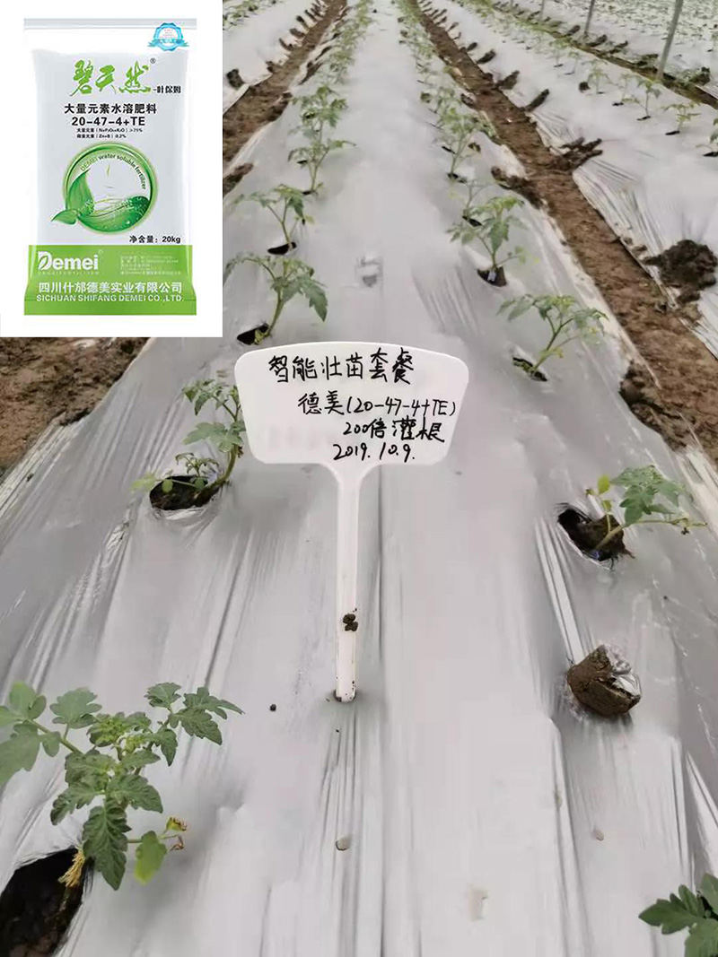 1-230314141T3333.jpg 1-230314141T3333.jpg