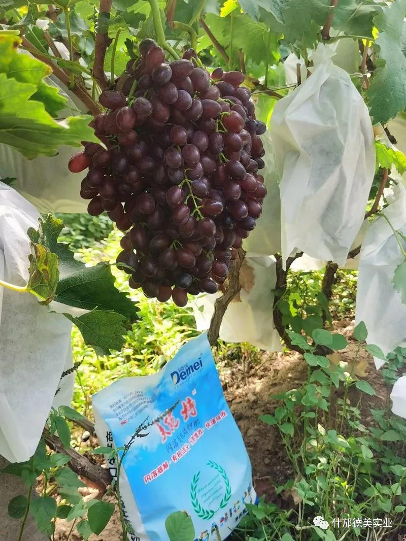 1-230403094603493.jpg 1-230403094603493.jpg