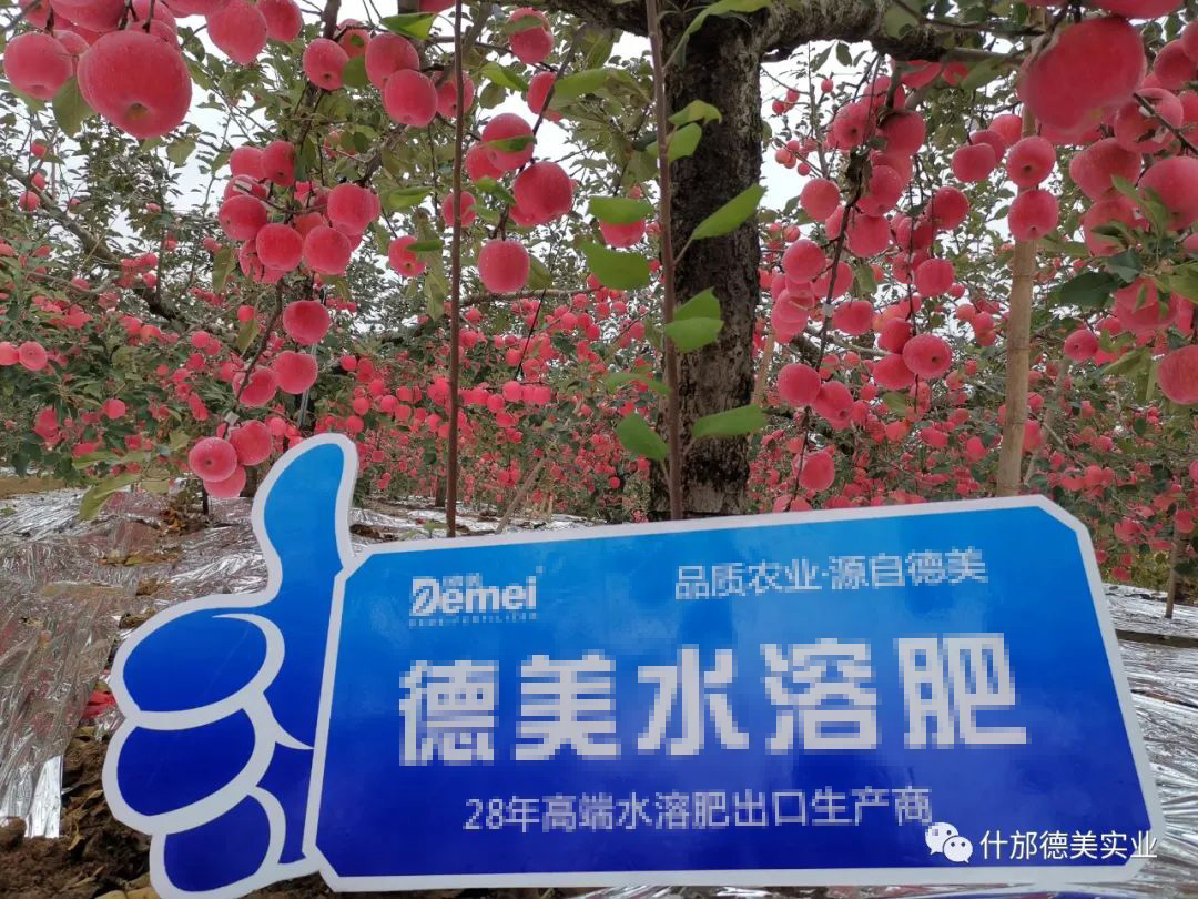 1-230403095059624.jpg 1-230403095059624.jpg